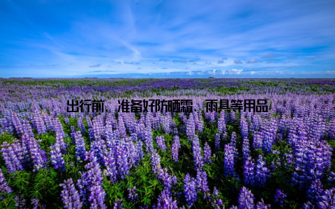 出行前, 准备好防晒霜、雨具等用品