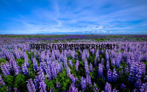 游客可以在这里感受儒家文化的魅力