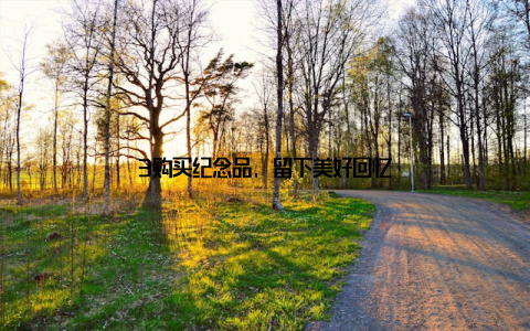 3购买纪念品, 留下美好回忆