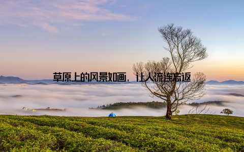 草原上的风景如画, 让人流连忘返