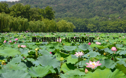 建议提前预订, 以免耽误行程