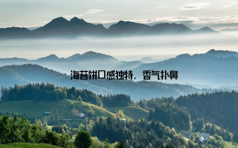 – 海苔饼口感独特, 香气扑鼻