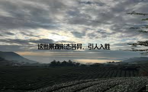 这些景观形态各异, 引人入胜