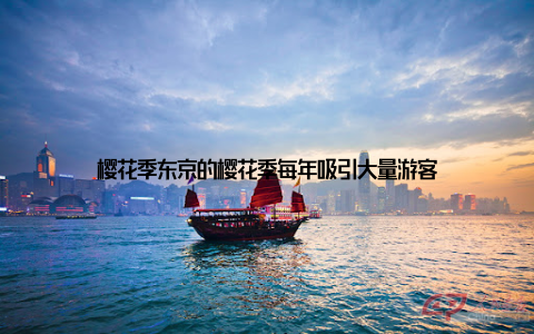 樱花季东京的樱花季每年吸引大量游客