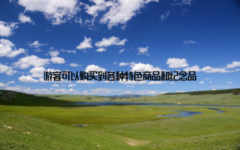 游客可以购买到各种特色商品和纪念品