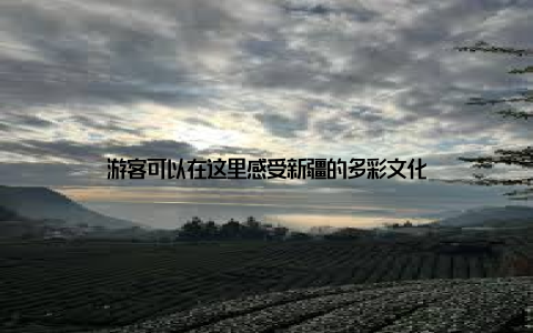 游客可以在这里感受新疆的多彩文化