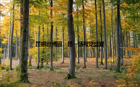 昆明世博园, 是一场视觉盛宴