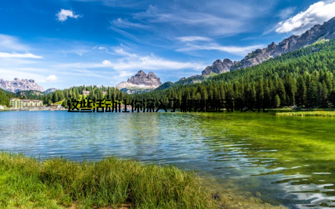 这些活动让你深入了解我国民间文化