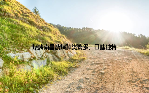 烧烤南昌烧烤种类繁多, 口味独特