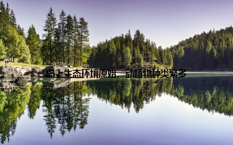 岛上生态环境原始, 动植物种类繁多