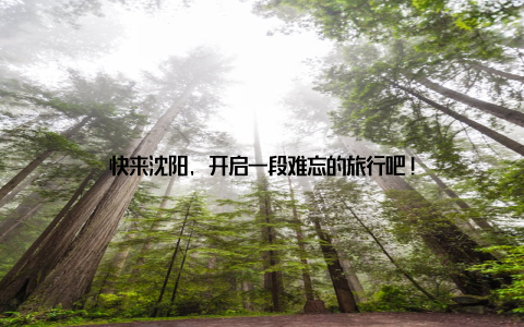 快来沈阳, 开启一段难忘的旅行吧!