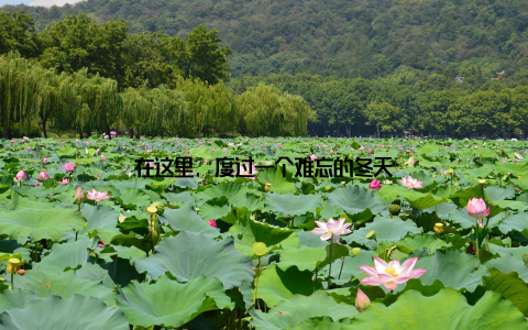 在这里, 度过一个难忘的冬天