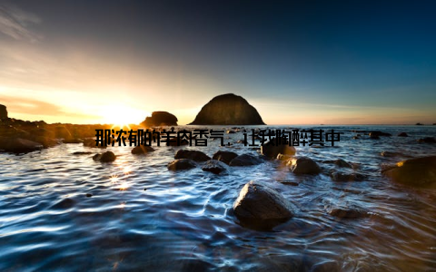 那浓郁的羊肉香气, 让我陶醉其中